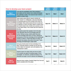 Free Editable Free 8 Business Timeline Templates In Pdf Docs Sample