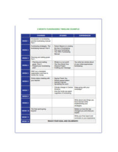 Printable Fundraising Timeline  6 Examples Format Google Docs Word Pages Power Point Pdf Excel Sample