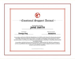 Free Blank Emotional Support Animal Esa Letter Template Word
