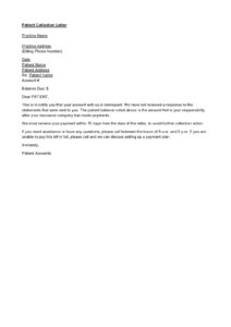 Editable Debt Collection Agency Letter Template Example