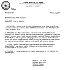 Free Editable Air Force Letter Of Counseling Template Pdf
