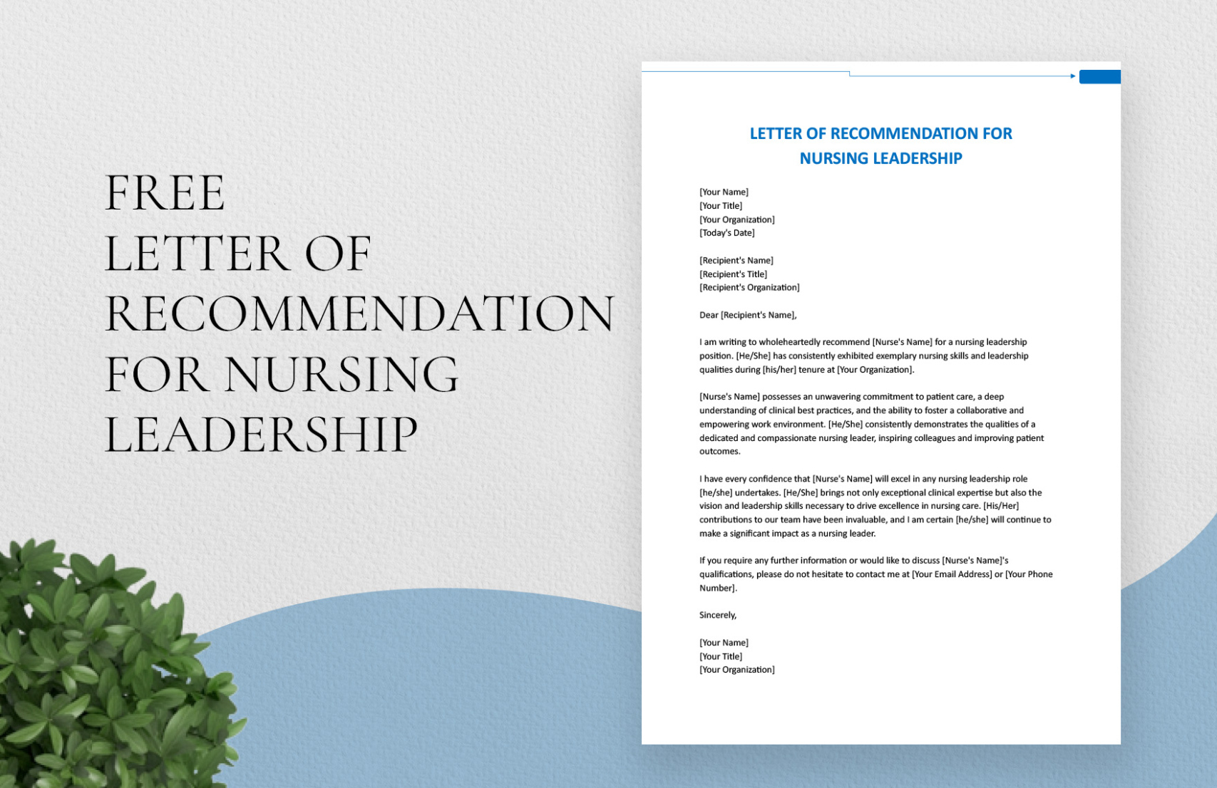 Free Editable Nursing School Letter Of Recommendation Template Sample