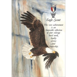 Sample Eagle Scout Congratulatory Letter Request Template Excel