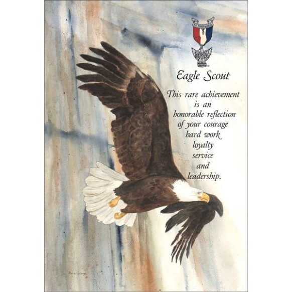 Sample Eagle Scout Congratulatory Letter Request Template Excel