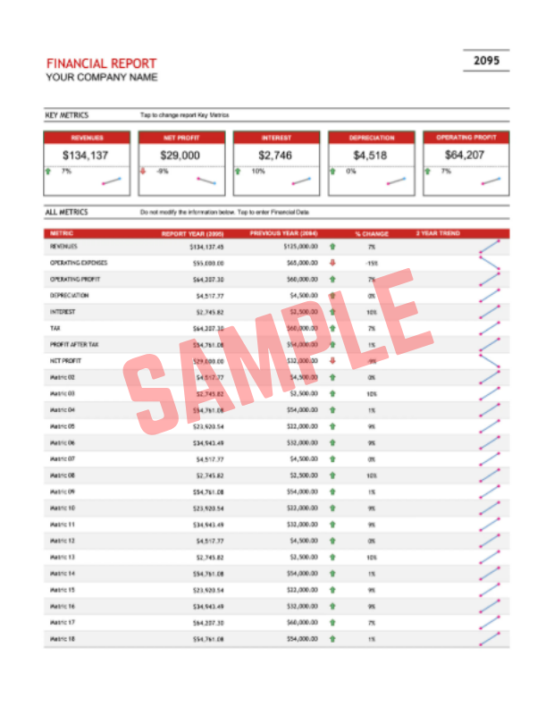 Half Year Financial Report Template