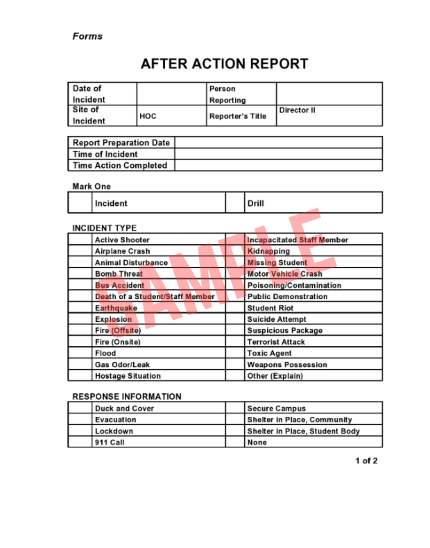 Hurricane After Action Report Template